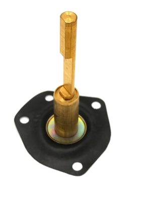 DIAPHRAGM WEBER DGAV
